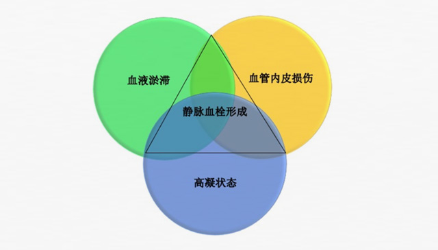 沉默殺手 VTE，如何進行抗凝治療？三問搞懂