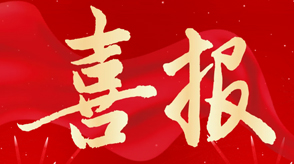 喜訊 | 新希望醫(yī)療被認(rèn)定為西安市數(shù)字化轉(zhuǎn)型試點企業(yè)