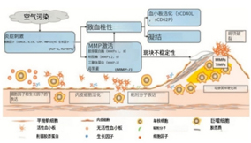 環(huán)境因素與深靜脈血栓的變化關系