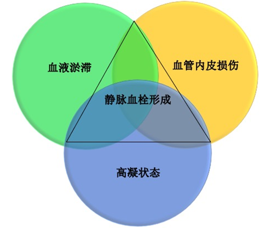 沉默殺手 VTE，如何進(jìn)行抗凝治療？三問搞懂