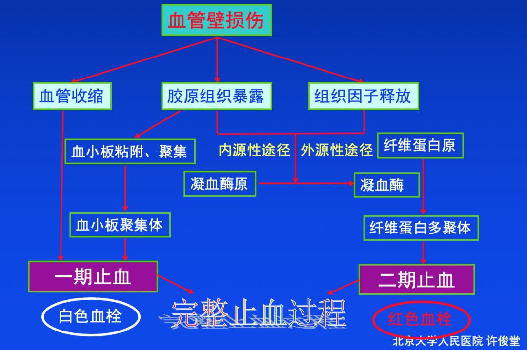 血栓形成，三個(gè)要素細(xì)分說
