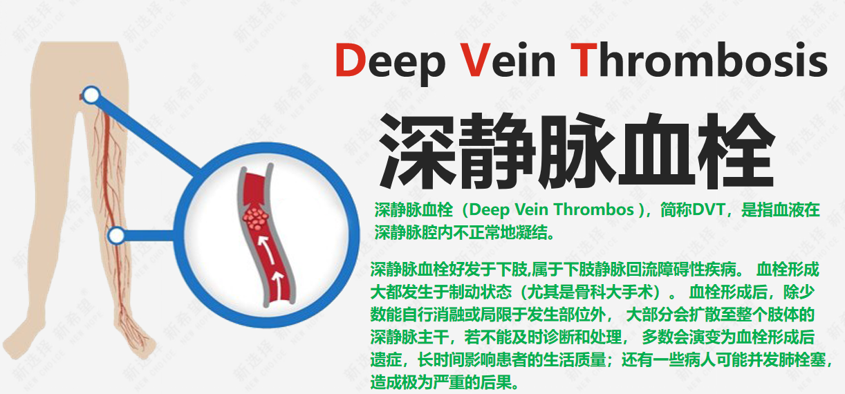 詩(shī)和遠(yuǎn)方 讓健康與靈魂共享