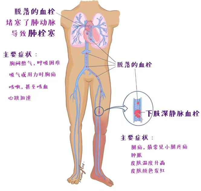 詩(shī)和遠(yuǎn)方 讓健康與靈魂共享