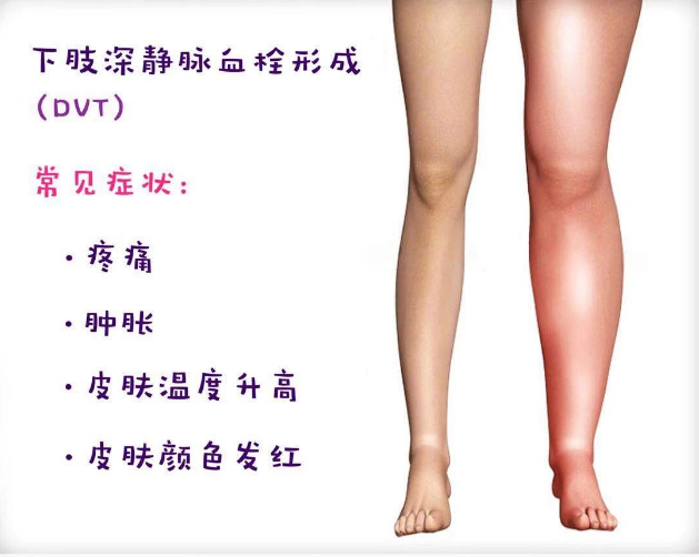 詩(shī)和遠(yuǎn)方 讓健康與靈魂共享