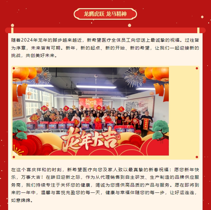 龍嘯新春，共赴新程